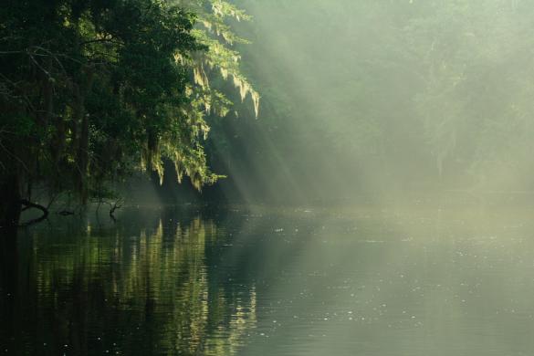 Santa Fe River, Florida