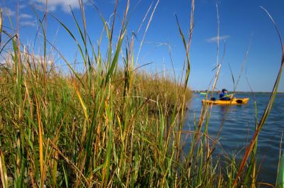 Kayak in Cheseapeake Bay