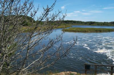 Herring River, Cape Cod, Massachusetts