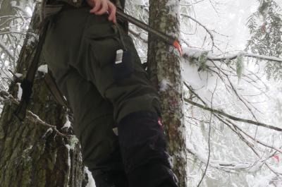 A young woman scales a thin, snow-covered tree and examines a camera tethered to the trunk.