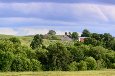 Iowa farmland