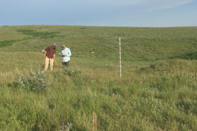 Coop staff conduct research on a Kansas farm