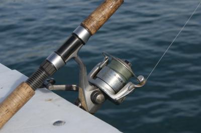 Fishing reel