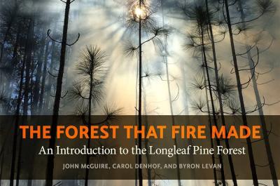 The Forest That Fire Made book cover