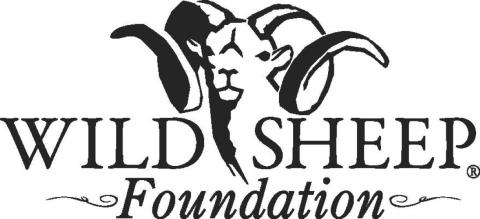 Wild Sheep Foundation Logo