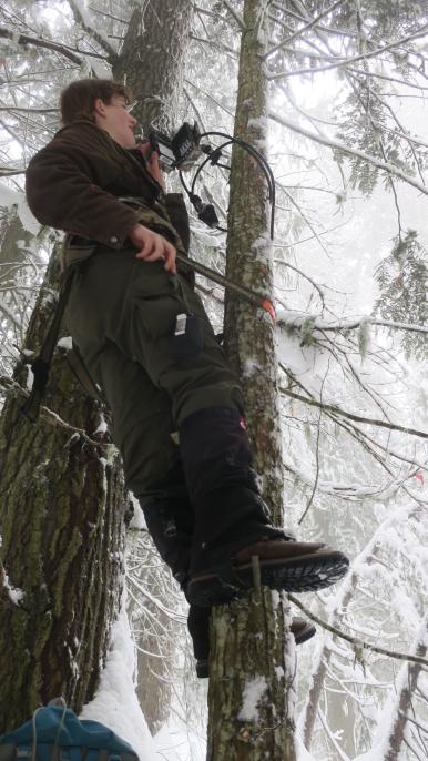 A young woman scales a thin, snow-covered tree and examines a camera tethered to the trunk.
