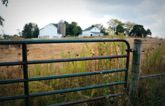 Fenceline with farm in distance
