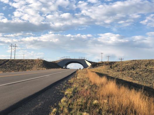 Wildlife overpass on Highway 9 in Colorado 